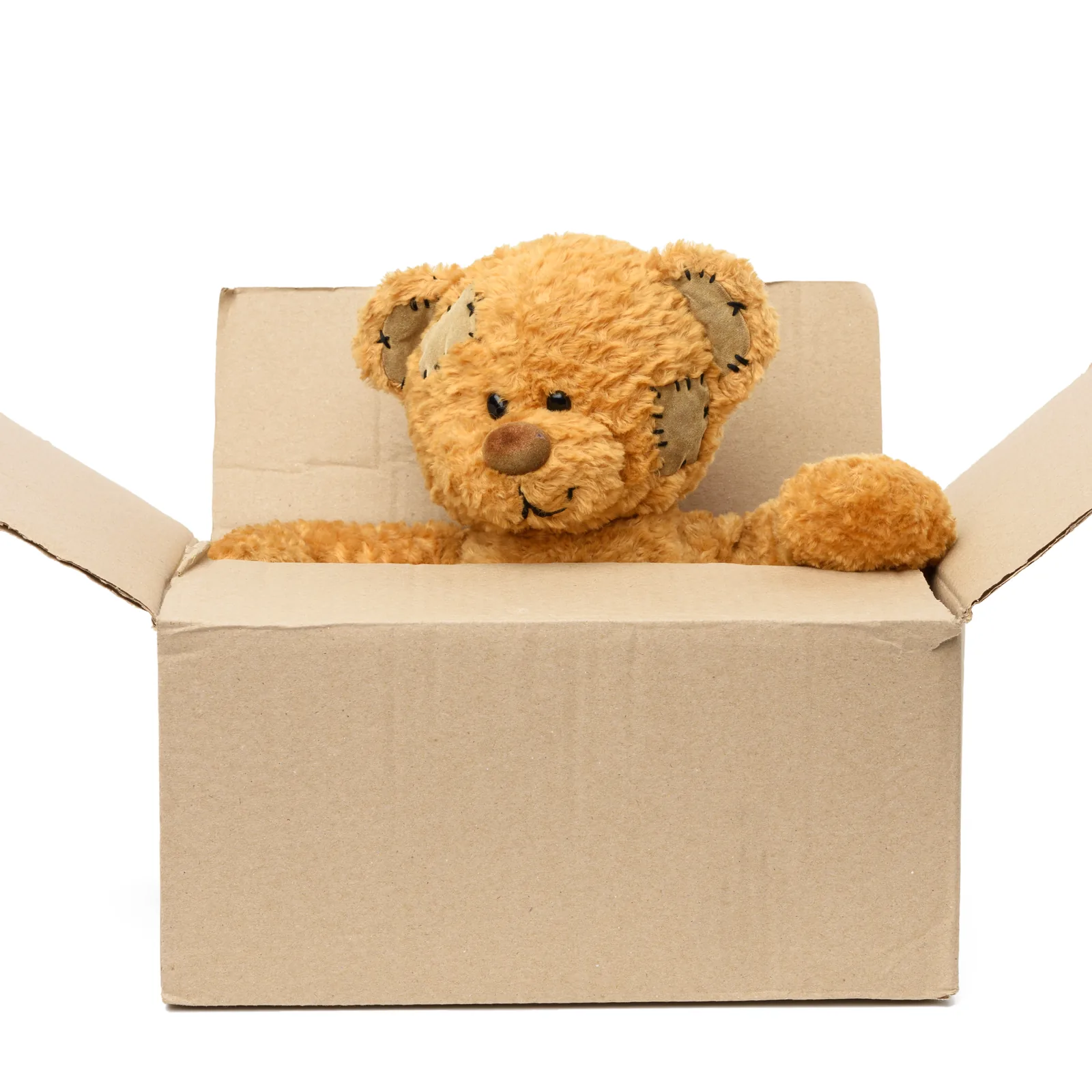 Teddy bear sitting in a shipping carton